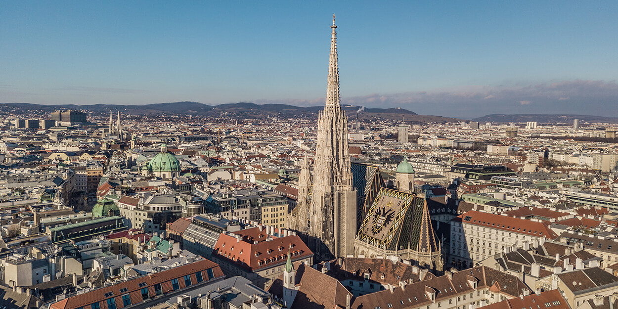 Chauffeur-Service Wien Vienna Limousine buchen